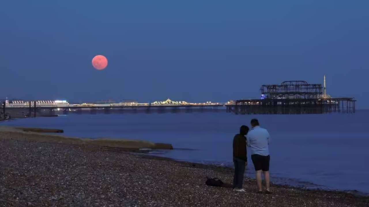 Strawberry Moon t.jpg